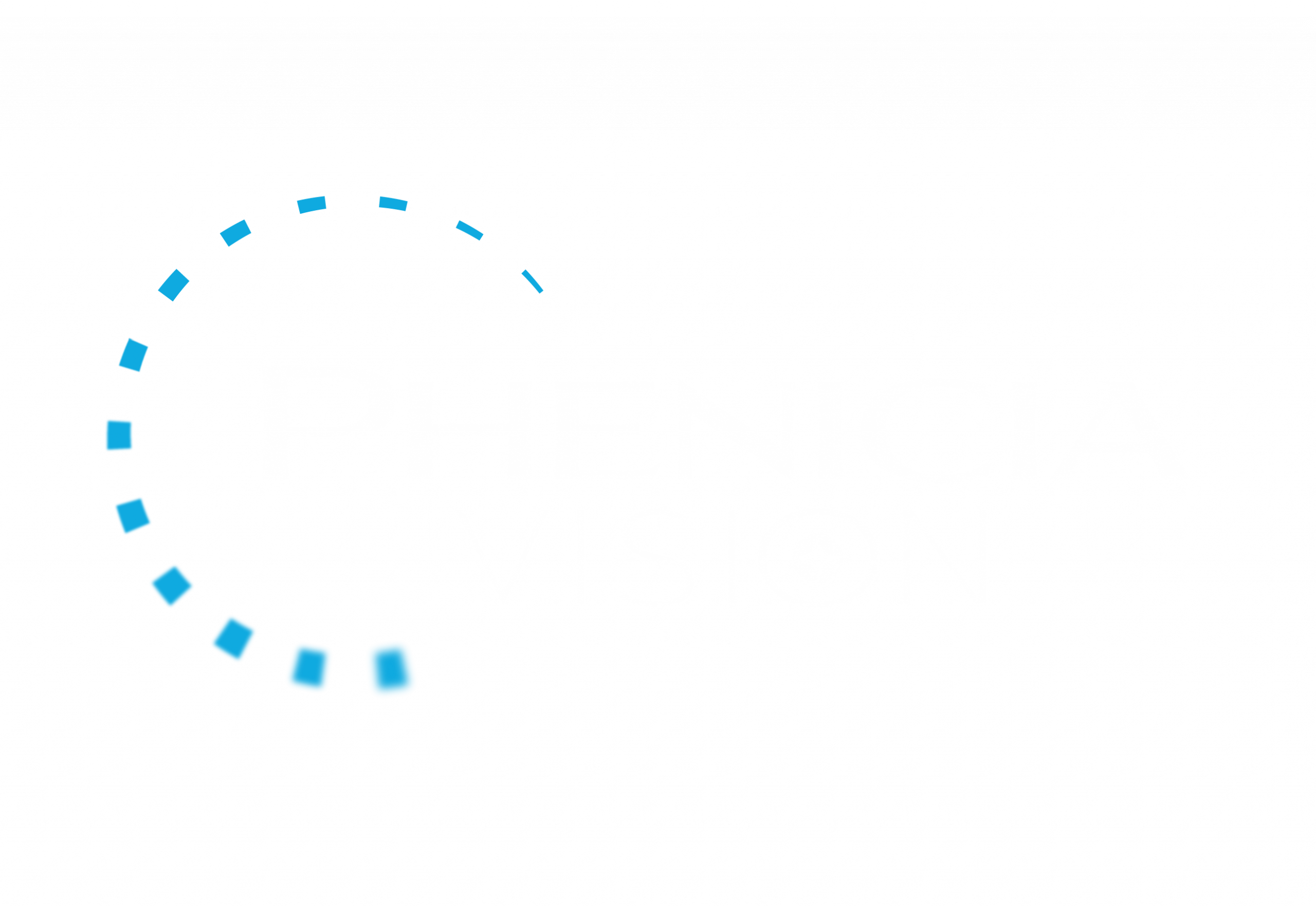 Logo Phenicia Vision blanc