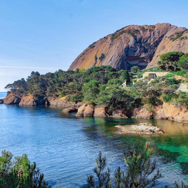 Parc Du Mugel La Ciotat Calanque Paysage Mediterraneen Phenicia Vision